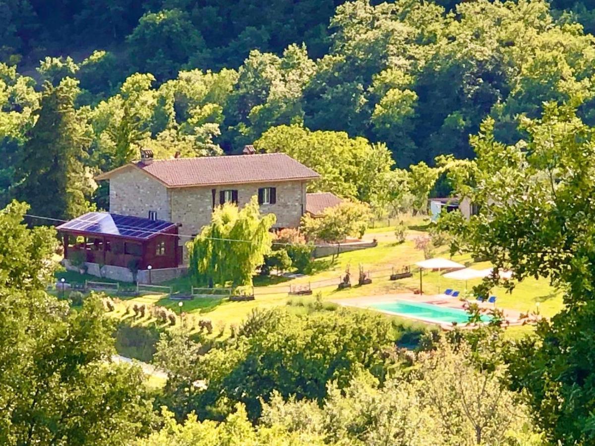 Agriturismo Vista Sole Villa Mercatale  Exterior foto