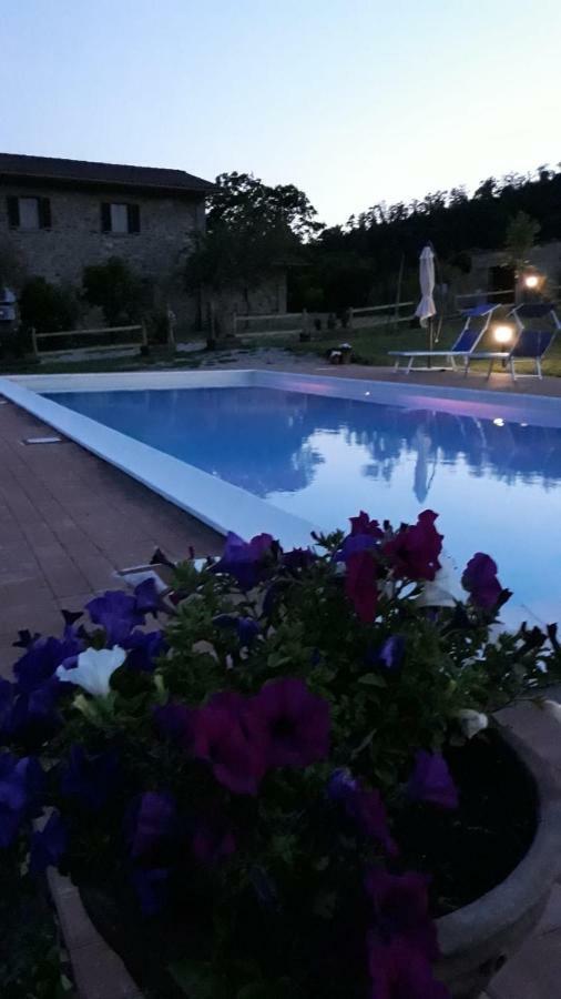 Agriturismo Vista Sole Villa Mercatale  Exterior foto