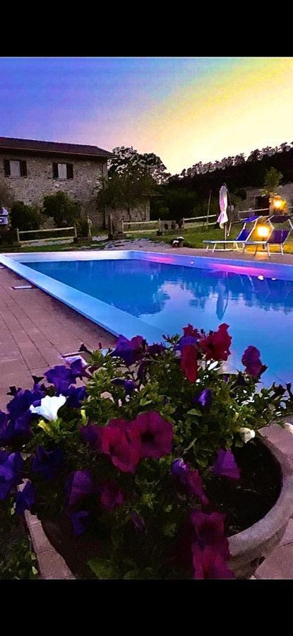 Agriturismo Vista Sole Villa Mercatale  Exterior foto