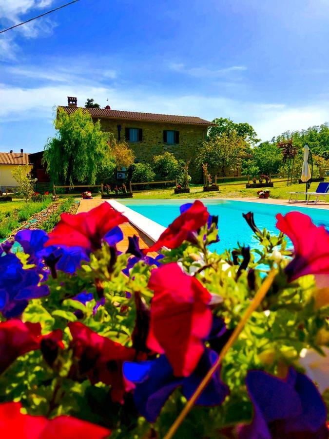 Agriturismo Vista Sole Villa Mercatale  Exterior foto